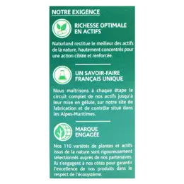 Naturland Safran Bio 30 gélules