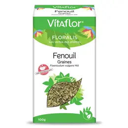 Vitaflor Infusion Fenouil Semence 100g