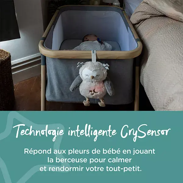 Tommee Tippee Peluche aide au sommeil rechargeable - Ollie la chouette