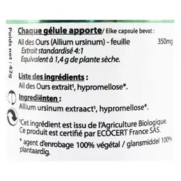 Vit'all+ Ail des Ours 350mg Bio 100 gélules végétales