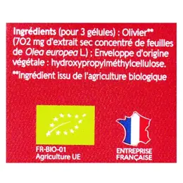 Naturactive Olivier Bio 60 gélules