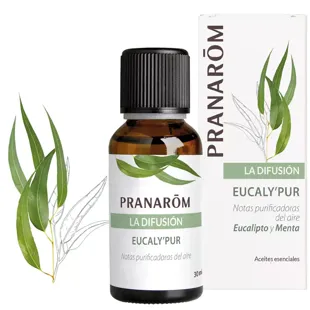 Eucaly'pur Eukalyptus und Minze BIO Eco Pranaromöl 30ml