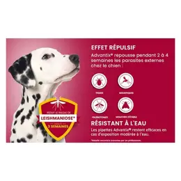 Advantix Chien Solution Antiparasitaire Grande Race 25 à 40kg 4 pipettes