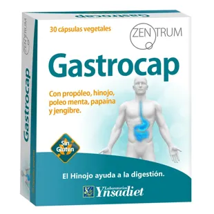 Ynsadiet Zentrum Gastrocap 30 Capsules