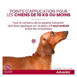 Advantix Chien Solution Antiparasitaire Race Moyenne 10 à 25kg 6 pipettes