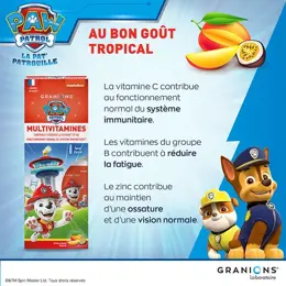 GRANIONS SPRAY MULTIVITAMINES ENFANT PAT PATROUILLE - Vitamine C et B - Immunité