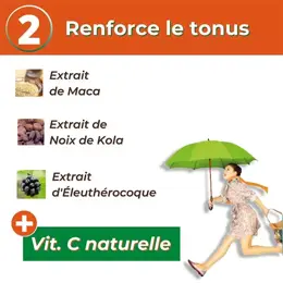 Nutrigée Immunité Fort 30 comprimés