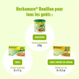 A.Vogel Herbamare Concentrée Bio 250g