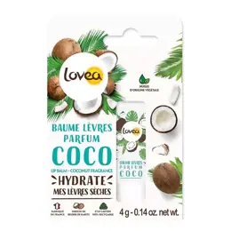 Lovea - Baume À Lèvres Coco Lèvres Sèches Au Beurre De Karité 4g