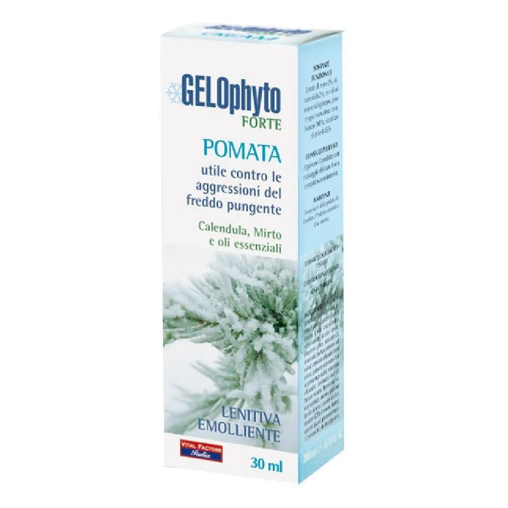 Gelophyto Forte Pomata Lenitiva Contro Il Freddo 30 ml