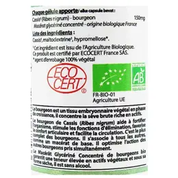 Vit'all+ Gemm'Vital Cassis Bio 60 gélules végétales