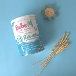 Bébé M Riz 3 en 1 Préparation de Céréales à Complément Protéinique +10m Bio 600g