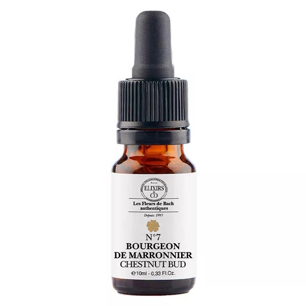 ELXIRS&CO - Unità Bocciolo di Castagno - 10ML