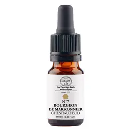 ELXIRS&CO - Unitaire BOURGEON DE MARRONNIER  - 10ML