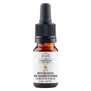 ELXIRS&CO - Unità Bocciolo di Castagno - 10ML