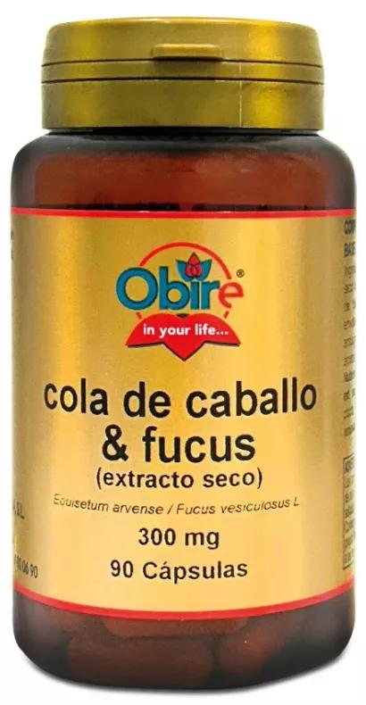 Obire Paardenstaart + Fucus 400 mg 90 capsules