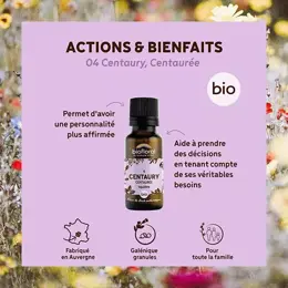 Biofloral 04 Centaury Centauree Granules Bio Fleur De Bach Granules 19,5 Gr