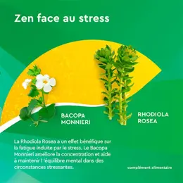 Euphytose Stress Concentration  30 comprimés + Berocca Boost vitamines 30 comprimés effervescents