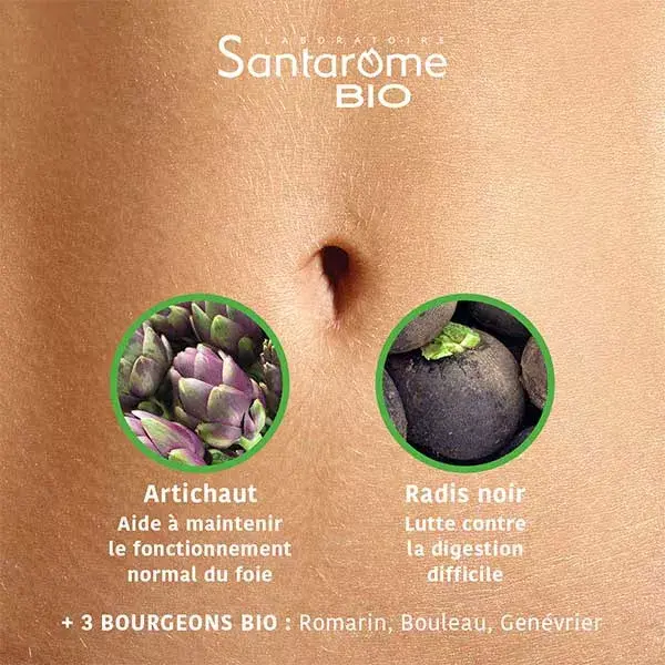 Santarome Bio - Artichaut Radis Noir Bio - Facilite la digestion - 20 ampoules