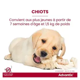 Advantix Chien Solution Antiparasitaire Race Moyenne 10 à 25kg 6 pipettes