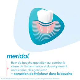 Meridol Bain de Bouche Protection Gencives 400ml