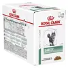 Royal Canin Veterinary Diabetic Chat Aliment Humide 12 x 85g