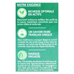 Naturland Charbon Végétal Bio 60 gélules