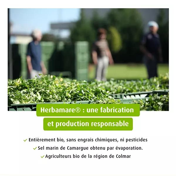 A.Vogel Herbamare Sal Marina Plantas y Legumbres Frescas Bio 250g