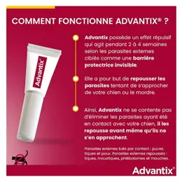 Advantix Chien Solution Antiparasitaire Très Grande Race 40 à 60kg 4 pipettes