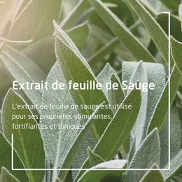 Weleda Sauge Déodorant Bio 100ml