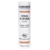 Gamarde Nutrition Intense Stick à Lèvres Bio 3,8g