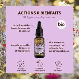 Biofloral Fleur De Bach 01 Agrimony Aigremoine Compte Gouttes Bio 20 ml