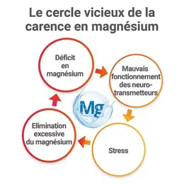 MAG 2 24H Extra Fort Magnésium Vitamine B6 Fatigue Lot de 2 x 45 comprimés