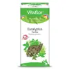 Vitaflor Infusion Eucalyptus Feuille 100g