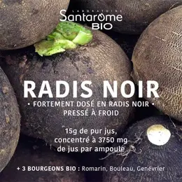 Santarome Bio Radis Noir Bio 20 ampoules