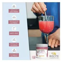 Biocyte Smoothie Hyaluronic Max 280g