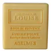 Les Secrets de Louise Savon de Provence Agrumes 100g 