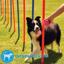 Adaptil Calm Diffuser + Refill 30 Days Anti-Stress for Dogs