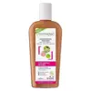 Dermaclay Shampoing Traitant Bio Cuir Chevelu Sensible Argile Rose 400ml