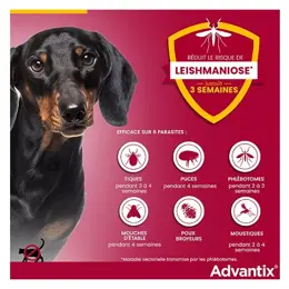 Advantix Chien Solution Antiparasitaire Petite Race 4 à 10kg 4 pipettes