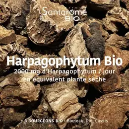 Santarome Bio Harpagophytum Bio 2000 - Douleurs articulaires - 20 ampoules