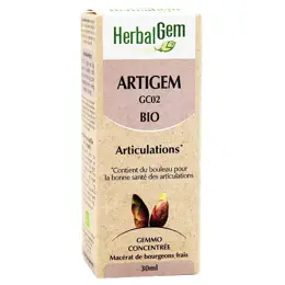 Herbalgem Complexe de Gemmothérapie Artigem Articulation Bio 30ml