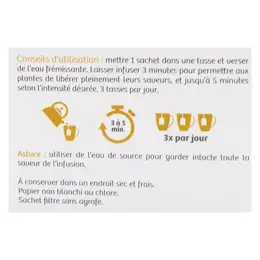 Vitavea - BioNutrisanté - Infusion gingembre citron Tonifiant - 20 sachets