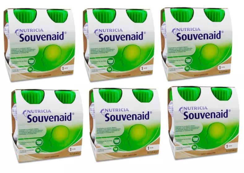 Souvenaid Cappuccino 24x125 ml