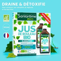 Santarome Bio Jus de Bouleau Bio - Draine & Détoxifie - Lot de 2 x 200ml