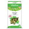 Vitaflor Infusion Oranger Feuille 50g