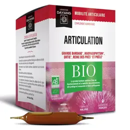 Dayang Complexe Articulation Bio 20 ampoules