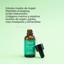 Segle Cellular Plus Anti-Aging Serum 15ml