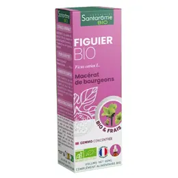 Santarome Bio - Bourgeon Figuier Bio - Gémmothérapie - Flacon de  30ml