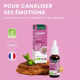 Santarome Bio - Bourgeon Figuier Bio - Gémmothérapie - Flacon de  30ml